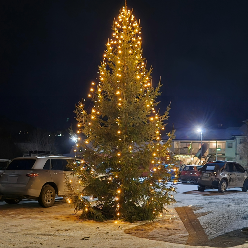 Julgranen på centrum
